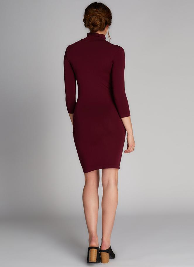 Bamboo Turtle-Neck Dress